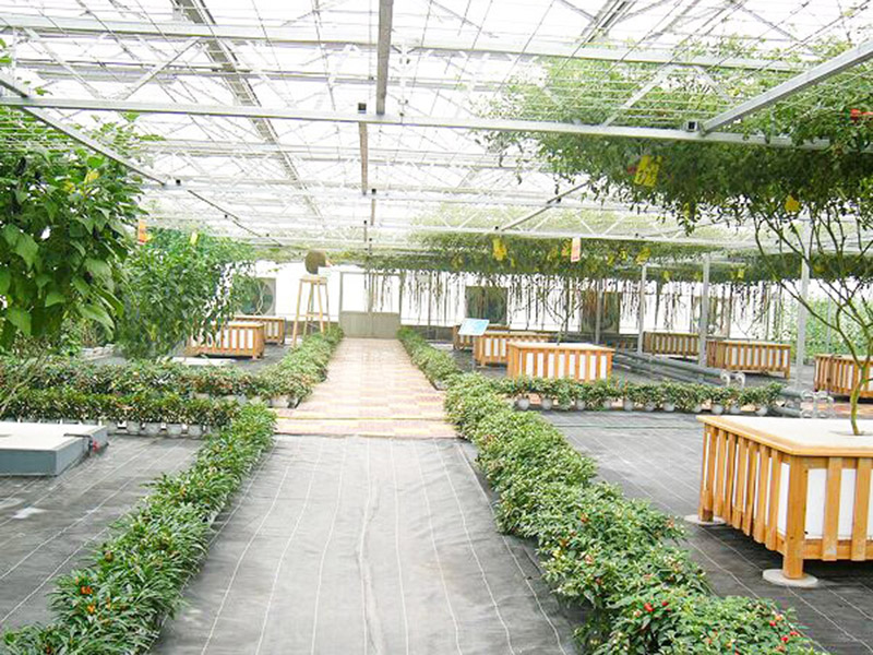 無(wú)土栽培育苗苗床溫室自動(dòng)化