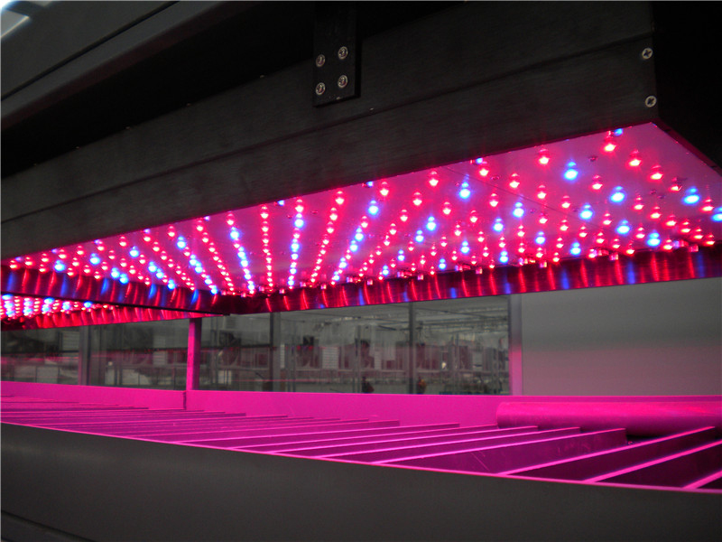 無(wú)土栽培育苗苗床溫室自動(dòng)化