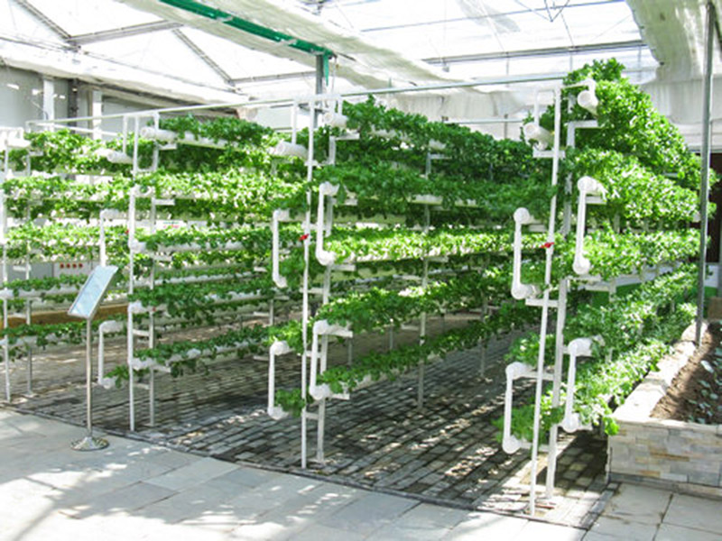 無(wú)土栽培育苗苗床溫室自動(dòng)化