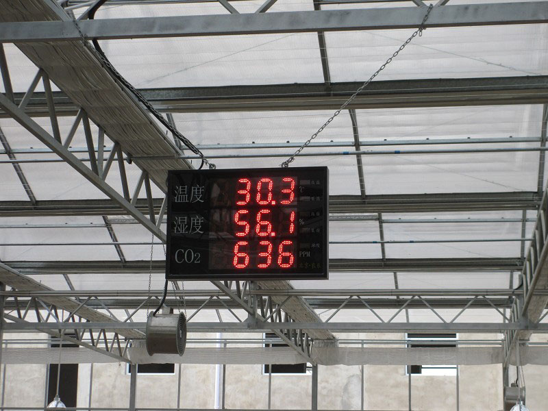 無(wú)土栽培育苗苗床溫室自動(dòng)化