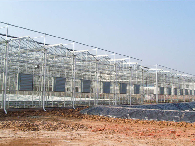 連棟溫室