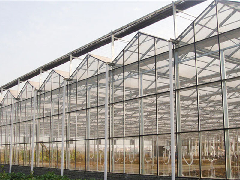 連棟溫室