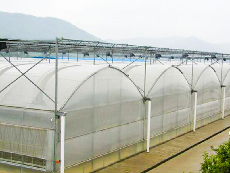 薄膜溫室