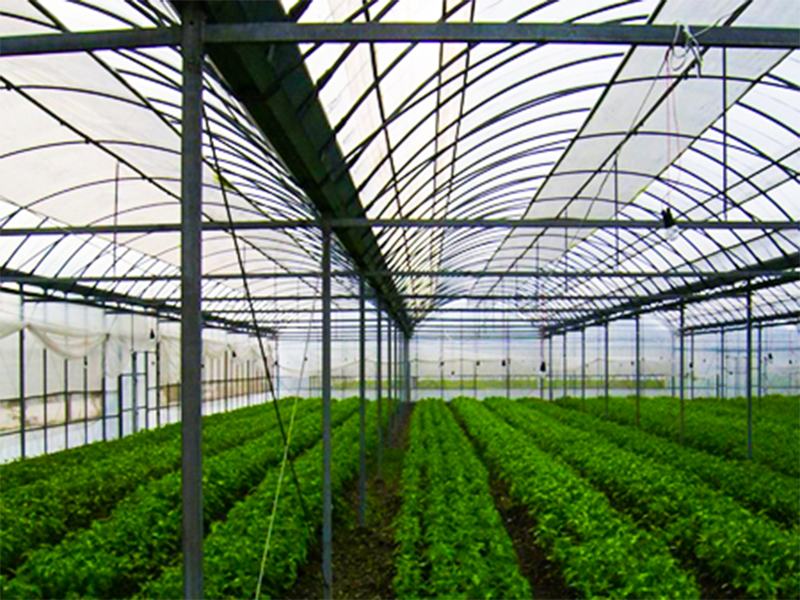 薄膜溫室