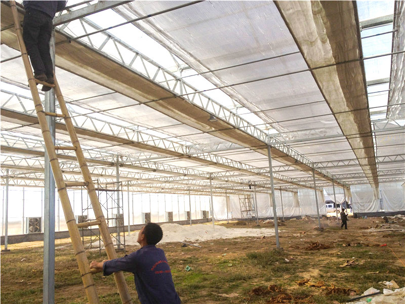 陽(yáng)光板（pc板)溫室