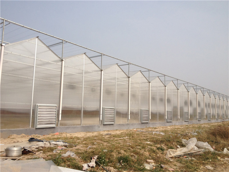 陽(yáng)光板（pc板)溫室