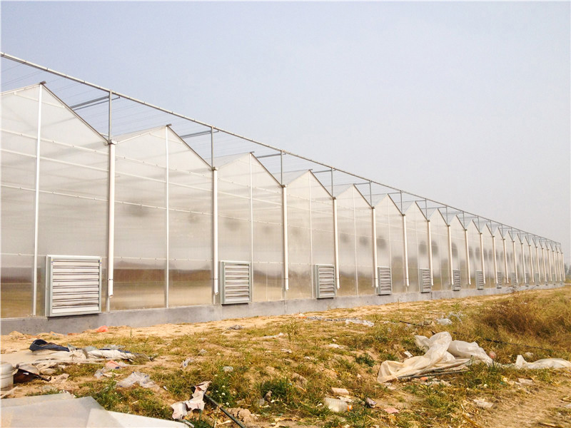 陽(yáng)光板（pc板)溫室