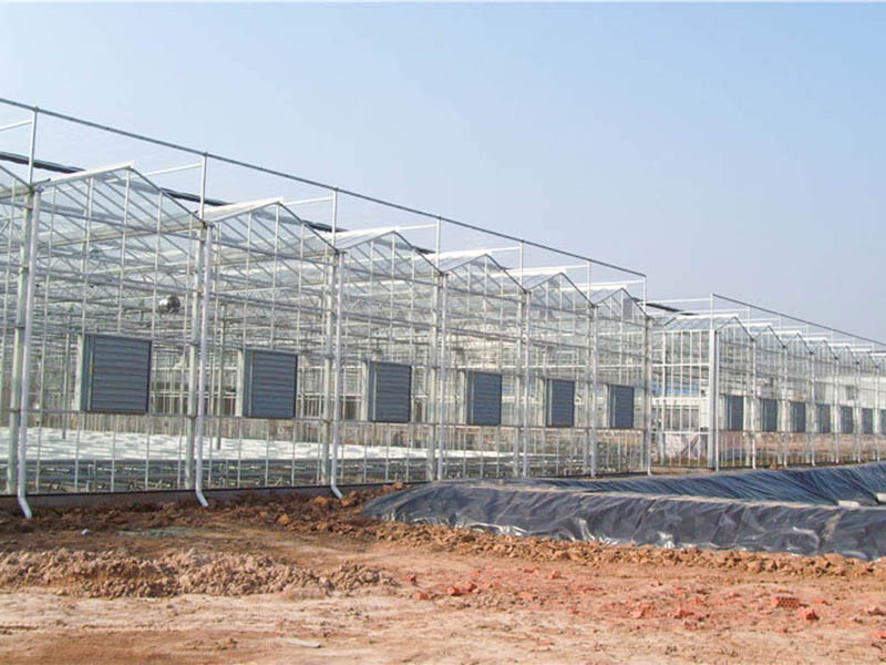 玻璃溫室